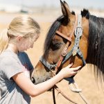 pexels-lindseygarrett-13861253